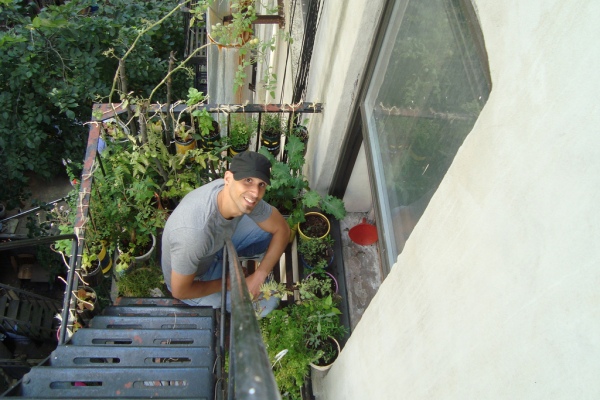 (c) Mike Lieberman - Urban Organic Gardener